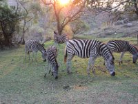Marion, Romane South Africa 2014 (69 of 80) : Bundu lodge, Marion visit